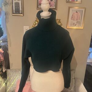 House of Harlow 1960 Dark Green Turtleneck Sweater